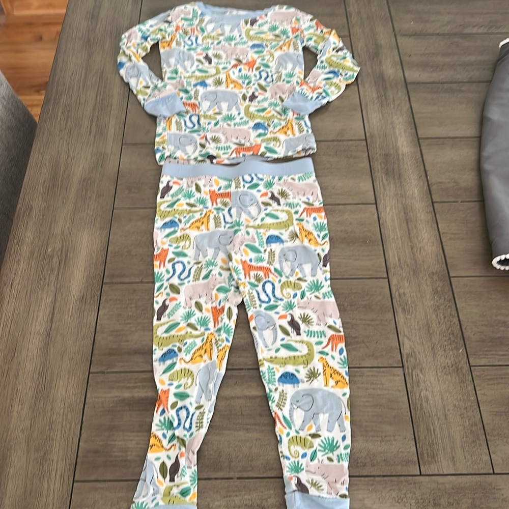 Little Sleepies 2 piece pjs